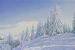 Celso, Am Todtnauberg, 2021, OelLw, 40x60cm